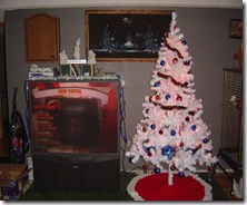 Christmas Tree '07 (4)