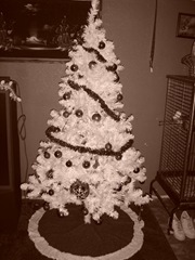 Christmas Tree '07