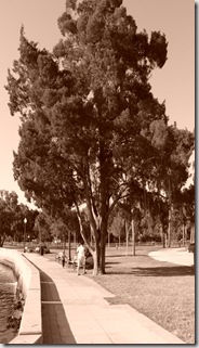 Jackie and the kids at sims park (8)