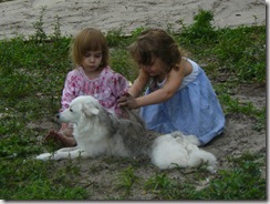 Lugg, Alyssa, Haily (4)