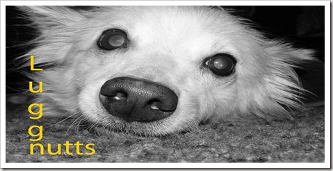 luggnutt I love you