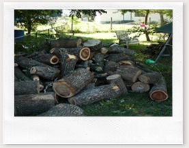 unsplit log pile