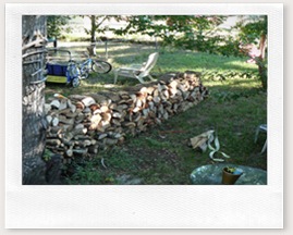 Split log pile