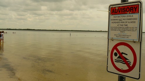 don't swim through my mind you'll get sick